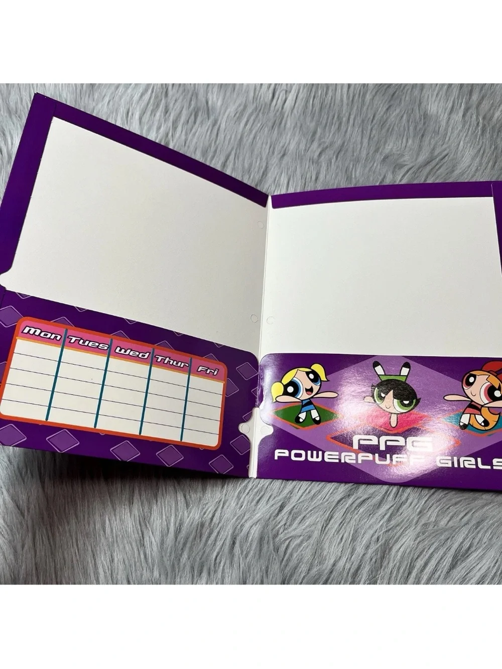 Vintage 2003 Y2K Power Puff Girls School Folder